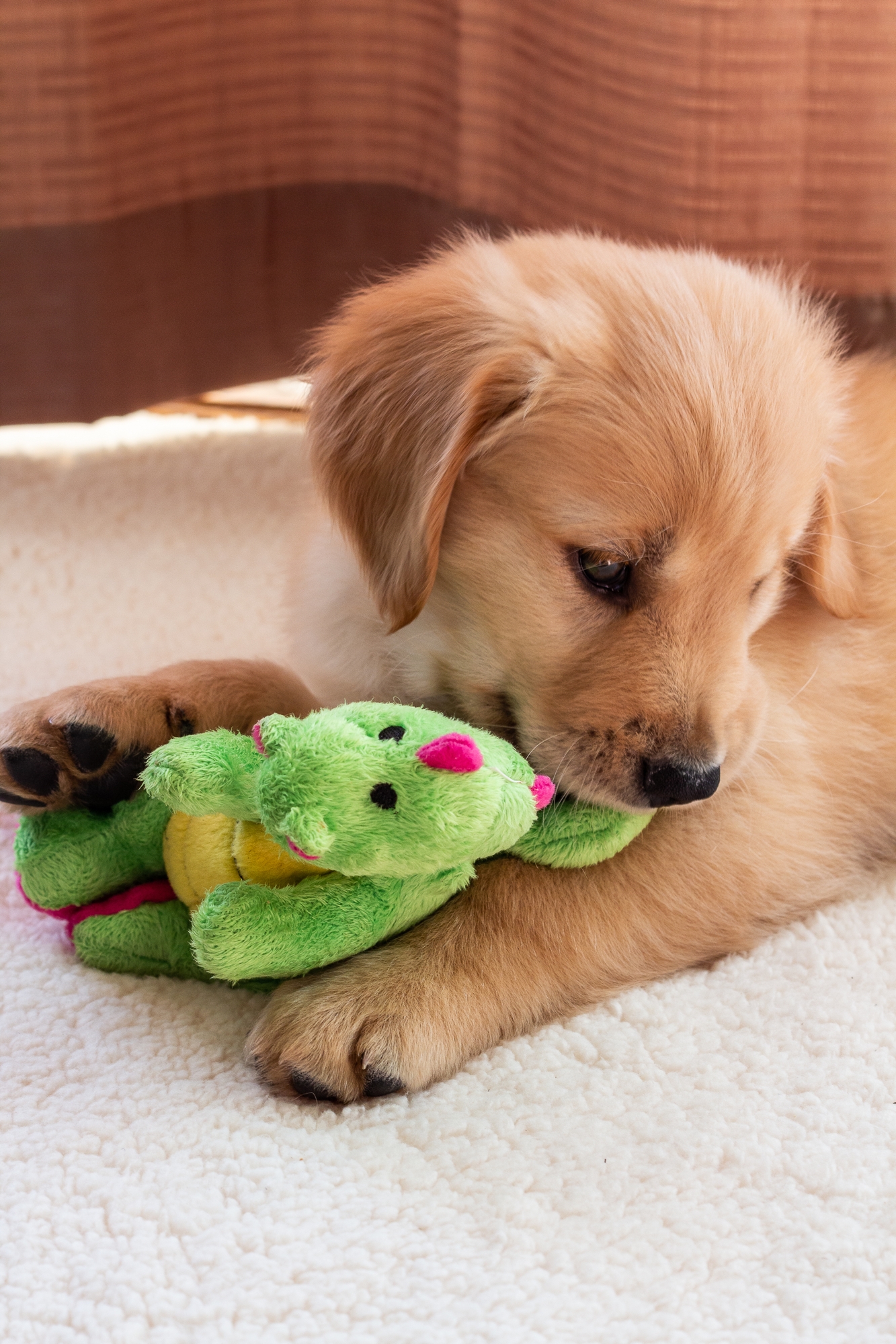 Taliesin Kohlmeier slaying a dragon